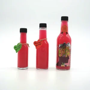 90ml 150ml 250ml Glass Bottle Empty Container with Safe Plastic Lid Plastic Inner Stopper for Packaging of Food Sauces