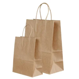 APZ 100% Recyclable Biodegradable Brown Kraft Paper Classic Style Rectangle Shopping Bags Cotton Rope Handles Custom Logo
