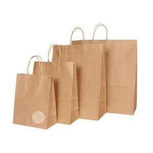 Biodegradable Art Paper Gift Shopping Bag with Handle Customizable for Promotion and Food Packaging
