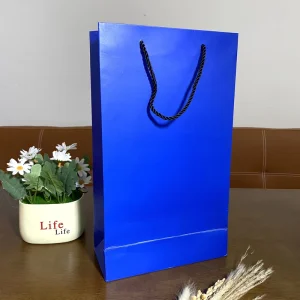 Biodegradable Custom Printed Carry Bag Fast Food Takeaway Restaurant Carry for Supermarket Use Promotions Bolsas Personalizadas