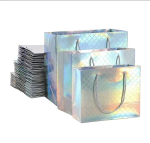 Biodegradable Eco-Friendly Recyclable Holographic Paperboard Gift Shampoo Bags with Hand Length Handles