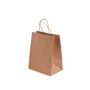 Brown Kraft Paper Bag Accept Custom Printing Stock Gift Bag Fast Food Take Away Twisted Handle Shopping Bag