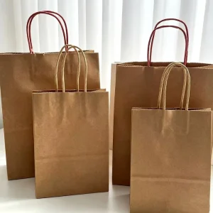 Bulk Matte Kraft Paper Bag Custom Emboss Logo Lightweight Pack for Nut Shop Brewery Brand Promo Handout