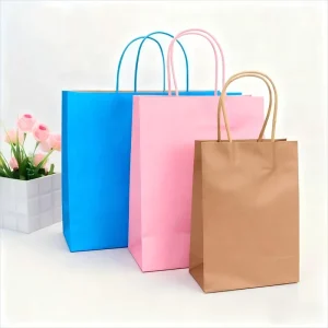 Certificated Kraft Paper Carrier Bag with Twisted Handle for Shopping Craft Boutique Dessert Coffee Gift Storage Bag