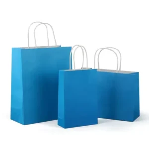 Classic Paperboard Bags with Twisted Handle Biodegradable Custom Logo & Size Options