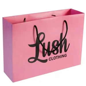 Colorful Kraft Paper Bags Luxury Shopping Gift Cardboard Paper Packaging Bag with Handle