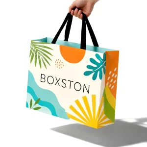 Custom Art Paper Portable Long handled Paper Gift Bags with Flexiloop Handles and Offset Printed Logo for Promotional Use