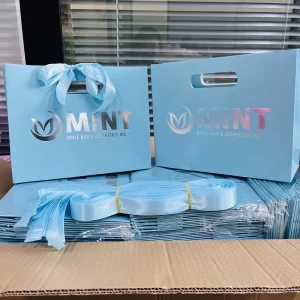 Custom Blue Luxury Paper Gift Bag Shopping Paper Carry Bag With Hot Stamping Logo