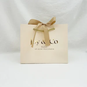 Custom Clothing Paper Bags with Your Own logo Handles Retail Luxury Cardboard Promotional Shopping Gift Paper Bag Packaging