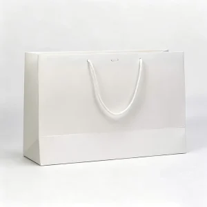 Custom Color Size Style Coated Paper Shopping Bag with Digital Printing and Ribbon Handles for Retail Gift Packaging Promotion