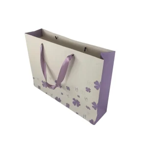 Custom Design Biodegradable Eco Friendly Ribbon Handle Luxury Gift Clothing Shopping Packaging Paperboard Bag
