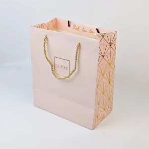 Custom Design Paper Shopping Bag Biodegradable Luxury Paper Gift Bag for Small Buniness Gift Shop