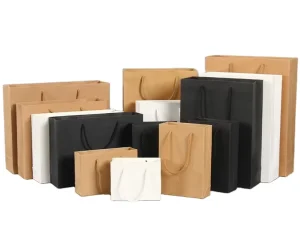Custom Design Recycle Kraft Paper Bag
