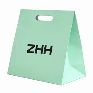 Custom Die Cut Handle Paper Gift Bag with Logo Printing for Private Brand Shopping & Gift Wrapping