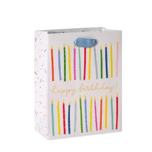 Custom Durable Biodegradable Eco Friendly Reusable Gift Paper Bags for Birthday Anniversary Events Elegant Design Premium