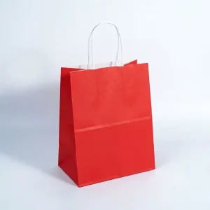 Custom Eco Friendly Biodegradable Recyclable Luxury Matte Solid Color Kraft Paper Gift Bags Handles Low MOQ Bag