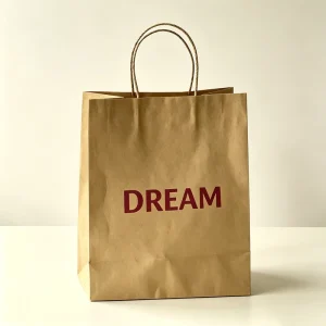 Custom Eco Friendly Luxury Cosmetics and Jewelry Shopping Gift Paper Bags Embossing Process Embossed logo with Ribbon Handles