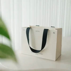 Custom Eco Friendly Luxury Paper Shopping Bag Ribbon Handle Matte Laminated Gift Packaging for Cosmetics Apparel Candle Retail