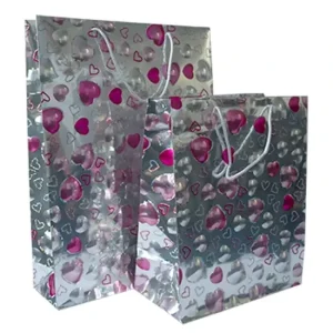 Custom Factory Price Hot Selling Lightweight Boutique Retail Reusable Storage Custom Packaging Shopping Bag
