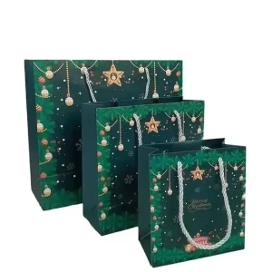 Custom Factory Price New Style Paper Grocery Gift Box Shopping Bag Jewelry Luxury Gift Paper Bag