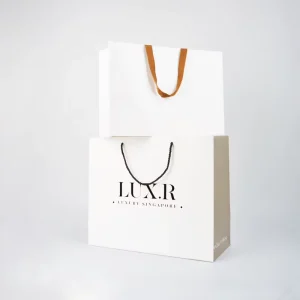 Custom Kraft Paper Biodegradable Gift Packaging Bags for Promotion Supermarket Clothes Flexo Printing Ribbon Handle
