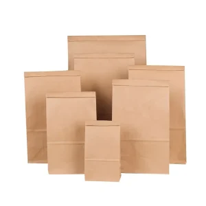 Custom Logo Design Disposable Biodegradable Gift Paper Bags for Camping