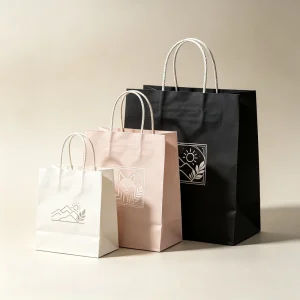 Custom Logo Durable Biodegradable Eco Friendly White Paperboard Bags Handles Offset Printed for Food Packaging Noodle Catering