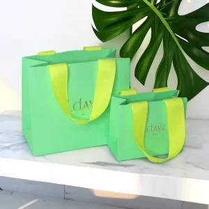 Custom Logo Offset Printing Matt Lamination Ribbon Shopping Packaging Coated Paper Gift Bag