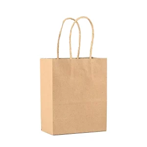 Custom Logo Printed Eco Friendly Kraft Paper Handbags
