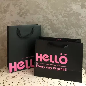 Custom Logo Printing Paper Bags Classic Pink Black Clothing Shopping Paperboard Bag with Ribbon Handle for Packaging