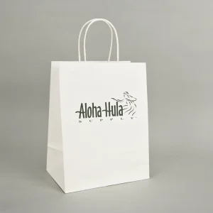 Custom Logo Size Recyclable Gift Packaging Paper Bag Kraft Shopping Paper Bag with Custom Handles for Retail Packaging