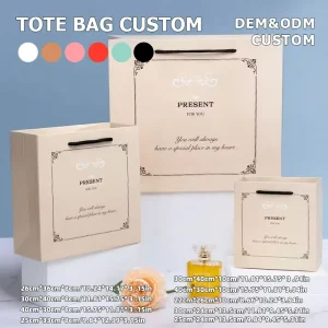 Custom Logo White Cardboard Complete Paper Bag Matched Gift Box Hang Tag for Garment Store One Stop Brand Packaging Kit