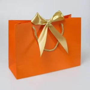 Custom Luxury Cardboard Paper Bags New Design Brand Name Recyclable Eco-Friendly Made China Featuring Your Own Logo