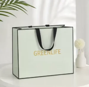 Custom Luxury Eco Friendly Kraft Cardboard Moisture Proof Waterproof Reusable Drawstring Handle Classic Style Gift Bag for
