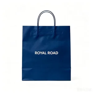 Custom Luxury Eco Friendly Recyclable White Paper Bag with Offset Printing Coated Ribbon Handle Customizable Design for Shopping
