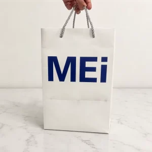 Custom Luxury Paper Gift Bags with Handles Jewelry Cosmetics Boutique Retail Packaging Custom Logo Available