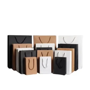 Custom Luxury Shopping Bag Paper Bags With Logo