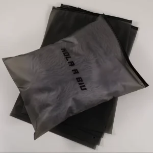 Custom Matte/Frosted Biodegradable Plastic Packaging Zipper Bags T Shirt Swimwear Zip Lock Clothing Bags with Logo