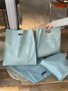 Custom Plastic Shopping Bags With Handle Eco Friendly Recyclable Tote Garment Packaging Retail Carrier