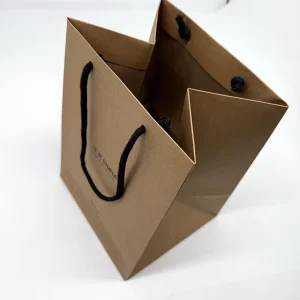 Custom Print Luxury Brown Kraft Paper Eco friendly Shopping Bag with Rope Handle for Supermarket Promotion Retail Gift