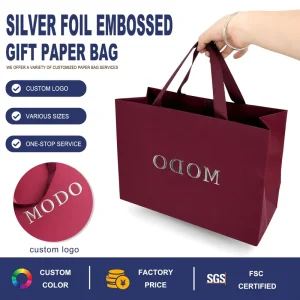 Custom Printed Art Paper Gift Bag Embossed Silver logo Retail Shopping Carrier Bag for Apparel