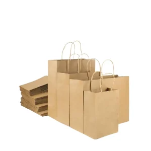 Custom Printed Biodegradable Eco Friendly Bulk Kraft Paper Bags for Retail Business Commercial Distribution