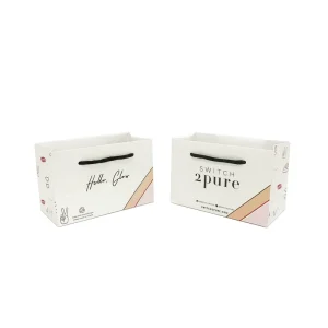 Custom Printed Classic Paperboard Clothing Shoes Packaging Bags with Ribbon Handle and Offset Printing