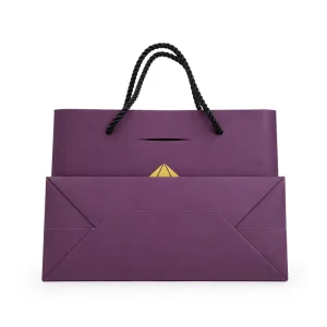Custom Printed Foldable Paper Gift Bag Premium Packaging with Durable Handle for Supply