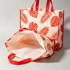 Custom Printed Laminated Non Woven Shopping Bag Eco Waterproof Gift Bag