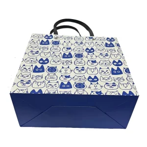 Custom Printed Luxury Cute Patterns Eco Friendly Paperboard Gift Bags with Drawstring