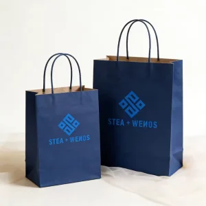 Custom Printed Paper Bag Kraft Paper Box Gift Shopping Bags Packaging Fast Food Takeaway Kraft Paper Bags with Handle