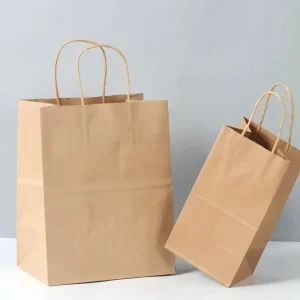Custom Printed Paper Shopping Bag, Luxury Kraft Gift Packaging with Cord Handle, Biodegradable