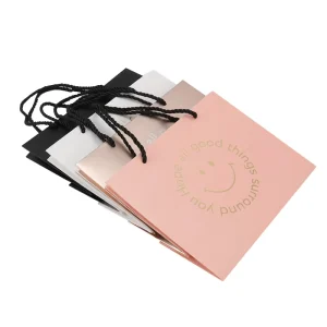 Custom Printed Premium Gift Packaging Clothing Shopping Paper Bags With Rope Handle