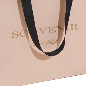 Custom Printed Shopping Gift Bags Handbags Eco Friendly Recyclable Packaging Garment Bag Cosmetics Bags